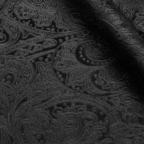 Black Paisley